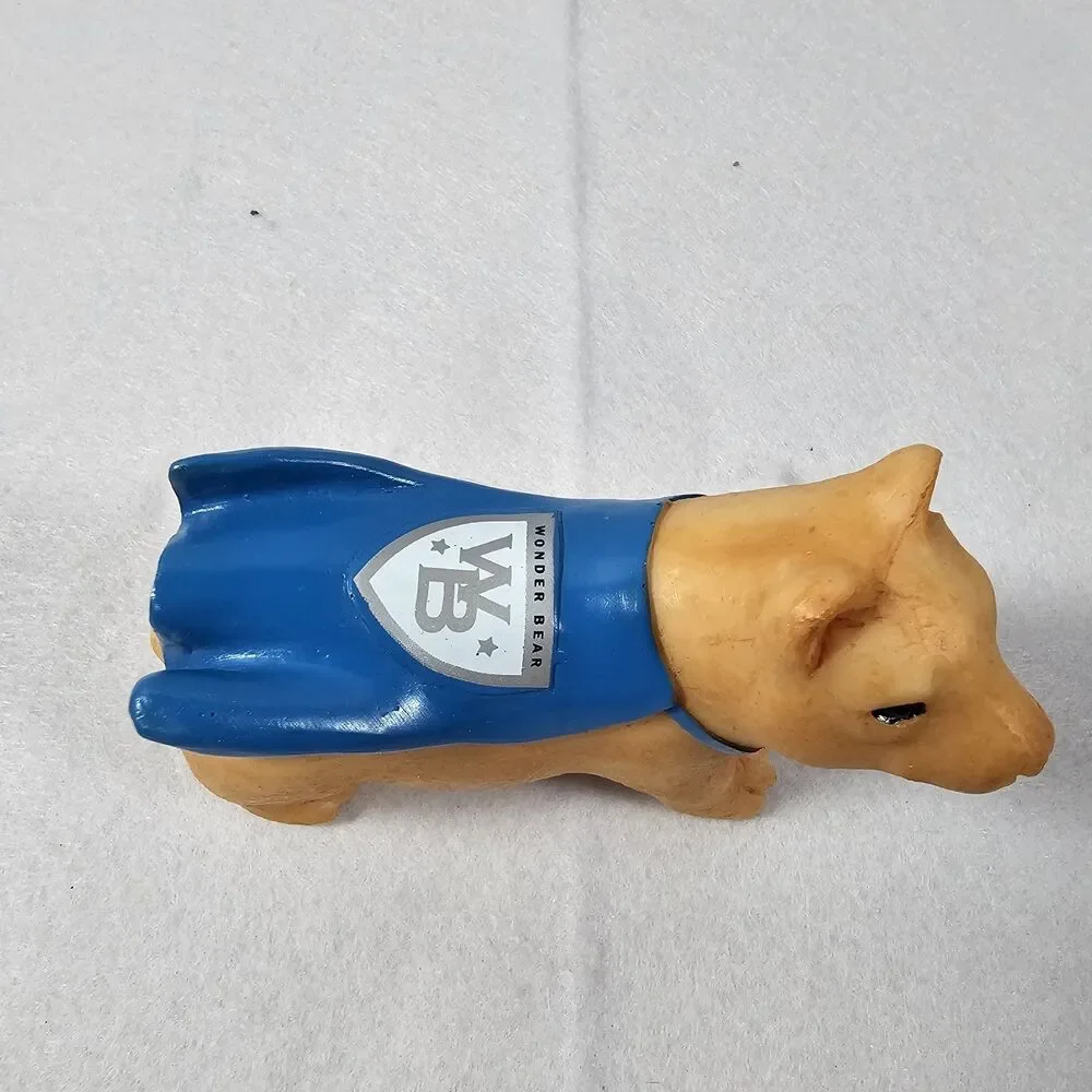 Children’s Hospital “WONDER BEAR” wonder bear